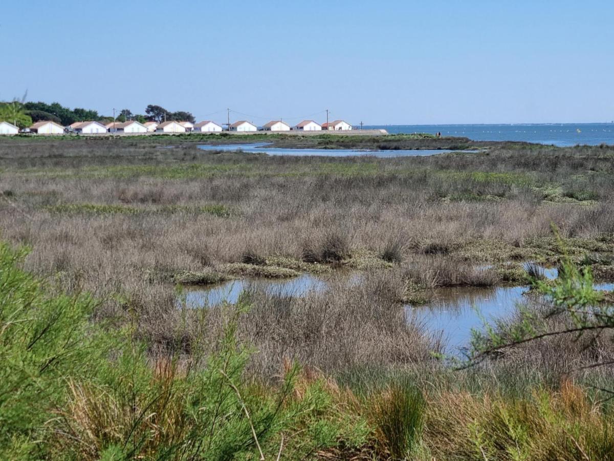 Appartement Le Crocolion à Ares Extérieur photo